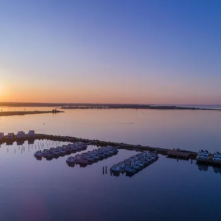 Pier 51 奥尔本尼兹